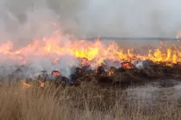 screenshot-20240801-144308-66ab82be85c25