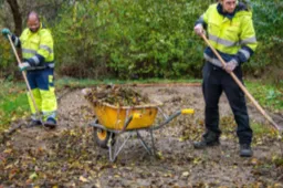 Screenshot_20260420_121236