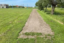 006612_bloemenstrook_kaal_zwaansmeer-20260521-klein