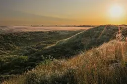 Noordhollands Duinreservaat 2 Floris Leeuwenberg