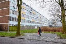 Zaandam wonen