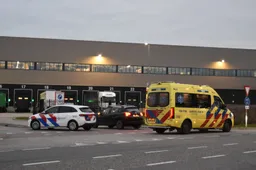 015e45d3-95c3-4654-ac83-a1eef624cac0