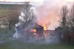 a4954e4f-3814-4f02-84d9-c417e5410aaa