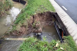 04a2ac4e-87f1-4ab9-a4b3-c5f8e6f4df9c