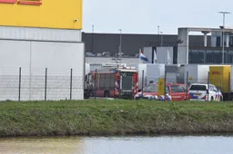 41d3055e-46c7-4ccd-adba-a43c348ecda1