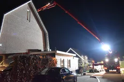 ff03018f-ddfc-4bb0-bb0b-278a3f4fdf4d