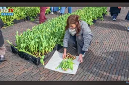 dame met tulpenbollen