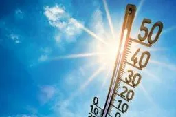 thermometer ggd flevoland