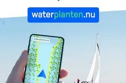 flyer waterplantennu gastvrije randmeren