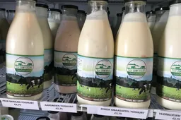 hofzumwalde 5 img 2555