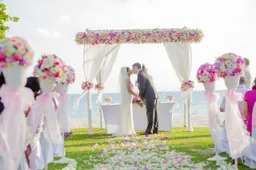 flower-achway-2574849_1280