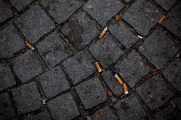 street-4752346_1280
