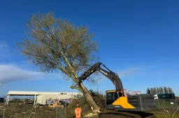 Bomenkap verzorgingsplaats Oudbroeken - november 2025