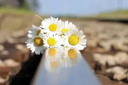 goranh-stop-youth-suicide-3414508_1920