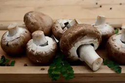 paddenstoelencongerdesign-mushrooms-8618284_1920