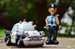 nepagentalexas_fotos-policewoman-986047_1920