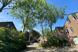 Buurtgroenbomen