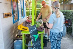 Verse groente uit eigen tuin te koop in Wijktuin Noordhove - foto Stichting Piëzo