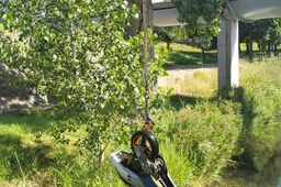 scooter2