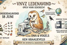 vogel
