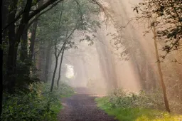 unnamed - 2026-04-08T093917.786