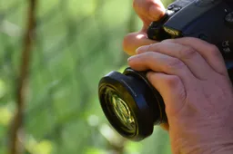 alexas_fotos-taking-photos-2255116