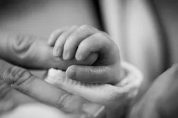 Schermafbeelding 2026-02-16 092520