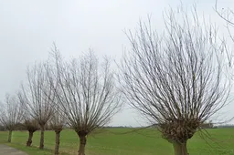 schermafbeelding 2025 06 01 134133