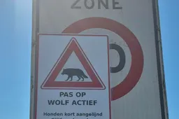 Schermafbeelding 2025-08-19 112214
