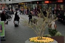 Schermafbeelding 2025-09-01 100134