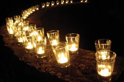 Schermafbeelding 2025-11-14 111427