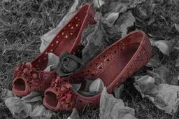 Schermafbeelding 2025-12-19 084010