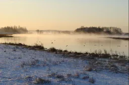 Schermafbeelding 2025-12-21 111313