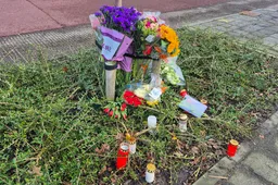 Schermafbeelding 2026-03-01 115108