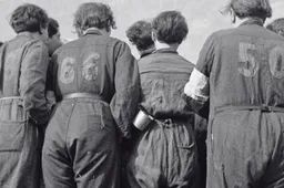 Schermafbeelding 2026-04-23 094408