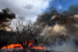 Schermafbeelding 2026-04-29 160740