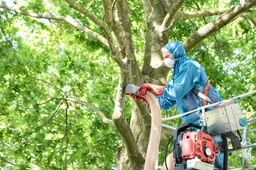 Schermafbeelding 2026-06-12 170332
