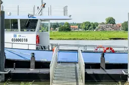 Schermafbeelding 2026-08-11 095911