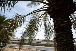 Red Bull-coureur kan niet geloven wat Toto Wolff zei over Red Bull Powertrains-motor