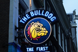 Amsterdamse 'koffiezaak' The Bulldog verlies 65,7 miljoen euro in recthszaak tegen Red Bull