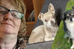 Dit weten we over spoorloos verdwenen Anette en twee hondjes uit Valkenswaard