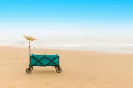 Op zoek naar de zon? De populairste zomerbestemmingen voor Nederlanders