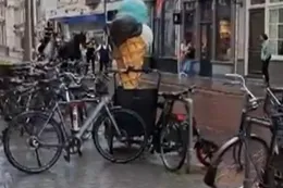 Den Bosch: Man rijdt met vol gas in op politiepaarden (BEELDEN)