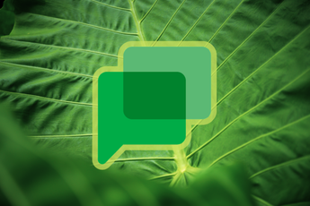 Smart Compose nu beschikbaar in de webversie van Google Chat