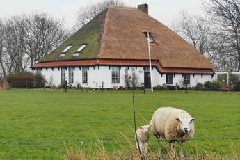 5 tips om foto's te maken van je huis (voor Funda of Jaap)