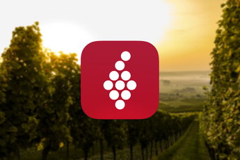 App van de week: vul je wijnkennis aan met Vivino