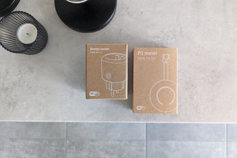HomeWizard P1 Meter en Energy Socket review