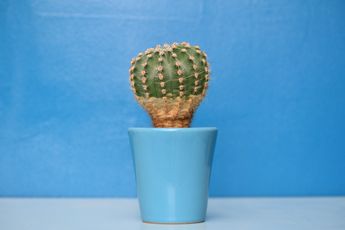 Het is Blue Monday, wat is het en wat kun je er aan doen