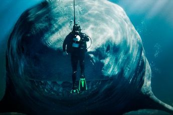 Is ‘The Meg’ nog de grootste dreiging? Meg 2: The Trench is nu te huur bij Pathé Thuis (adv)