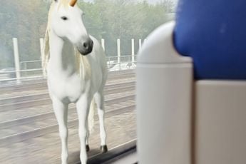 De grappige en leerzame Google AR-dieren lijken te verdwijnen